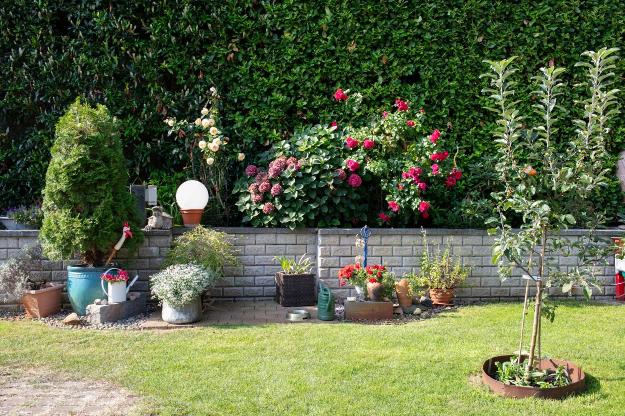 Ferienhaus Jasmin نيوروبين المظهر الخارجي الصورة